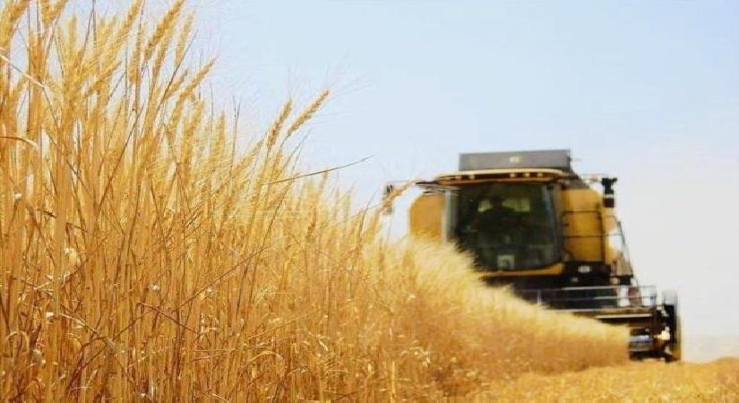 Tarım-ÜFE yıllık yüzde 142,42 arttı