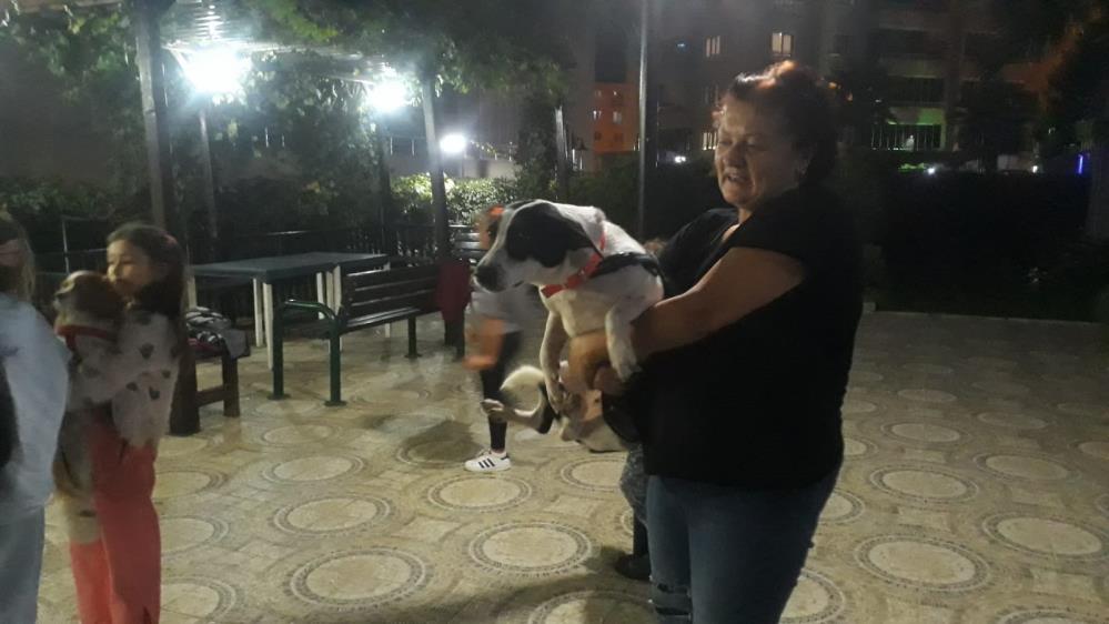 Bursa’da köpeğe doğum günü partisi