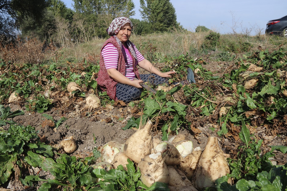 Tarladan sofraya uzanan tatlı yolculuk