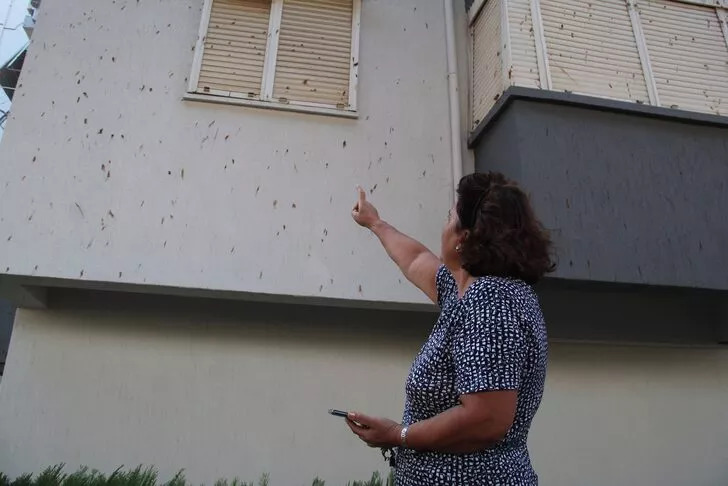 Yarasa dışkısından ne kapı ne pencere açabiliyorlar: Her geçen gün artıyor