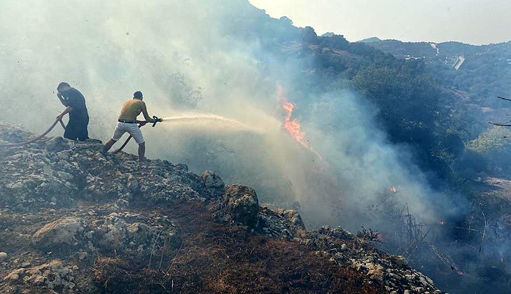 Bodrum’da makilik alanda yangın