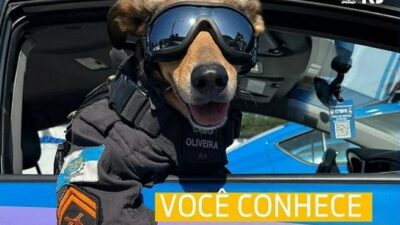 Fenomen köpek ‘Onbaşı Oliveira’