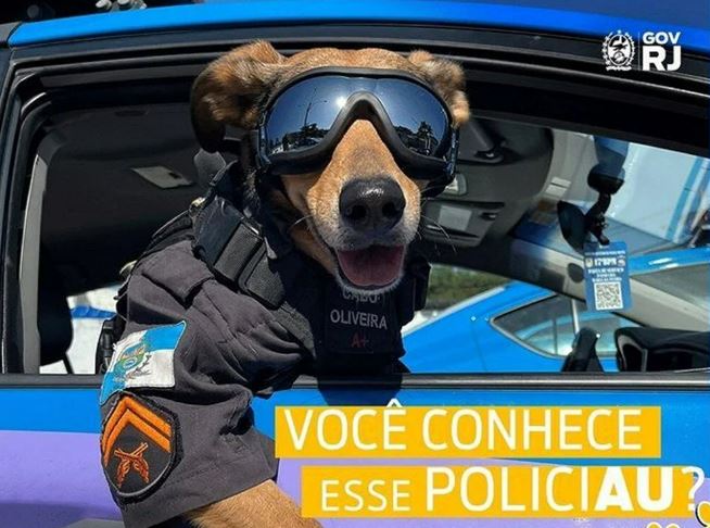 Fenomen köpek ‘Onbaşı Oliveira’
