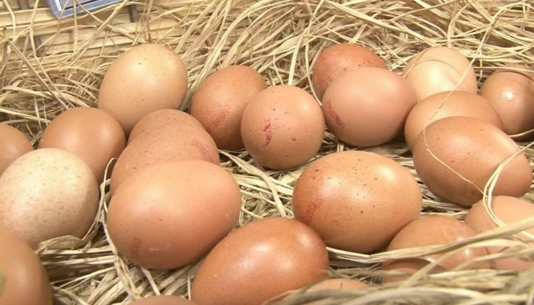Yumurta fiyatları son 1 ayda ikiye katlandı