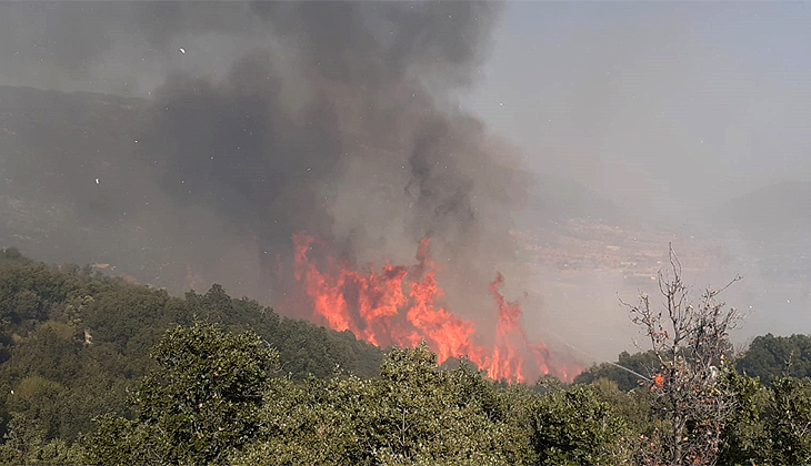 Kaş’ta orman yangını kontrol altına alındı