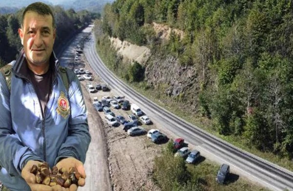 Ormana akın! Kestanenin kilosu 50 ile 70 liradan satılıyor