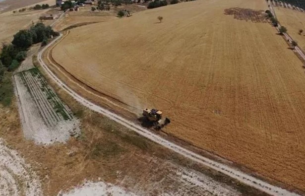 Böylesi görülmedi: Vatandaş ekti, kaymakamlık biçti
