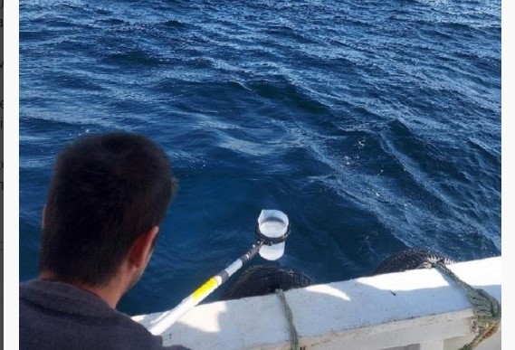 Marmara’nın suyu mercek altında: 20 noktadan numune alındı Marmara’nın suyu mercek altında: 20 noktadan numune alındı