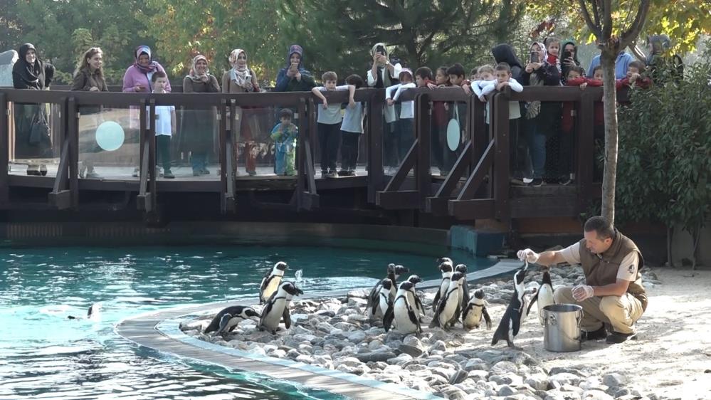 Bursa’da penguenlerin balık keyfi