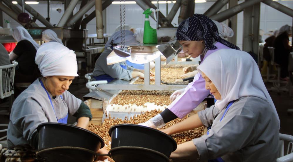 Enerji krizi fındık ihracatını da olumsuz etkiledi