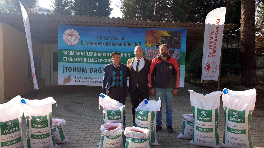 Bursa’da çiftçilere buğday tohumu desteği