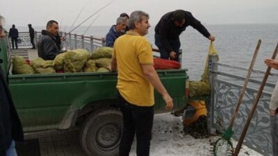 Bursa’da kaçak midye avcılarına operasyon