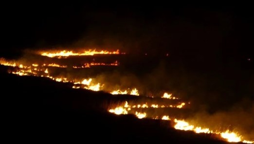 Kuş cenneti alev alev yanıyor