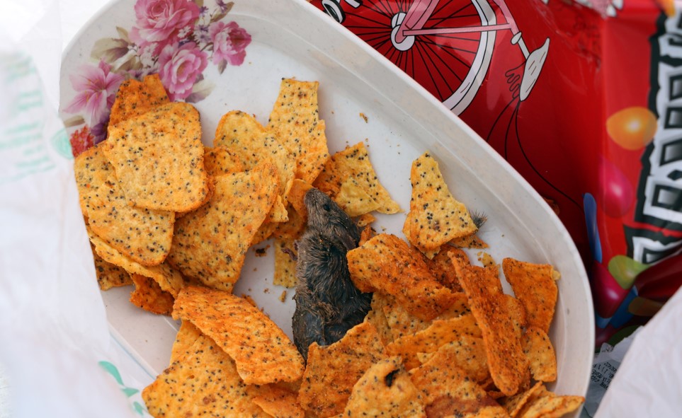 Cips paketinin içinden fare çıktı