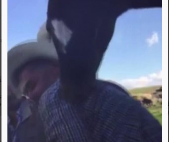 Ağzıyla sahibinin omzuna masaj yapan at, görenleri gülümsetti