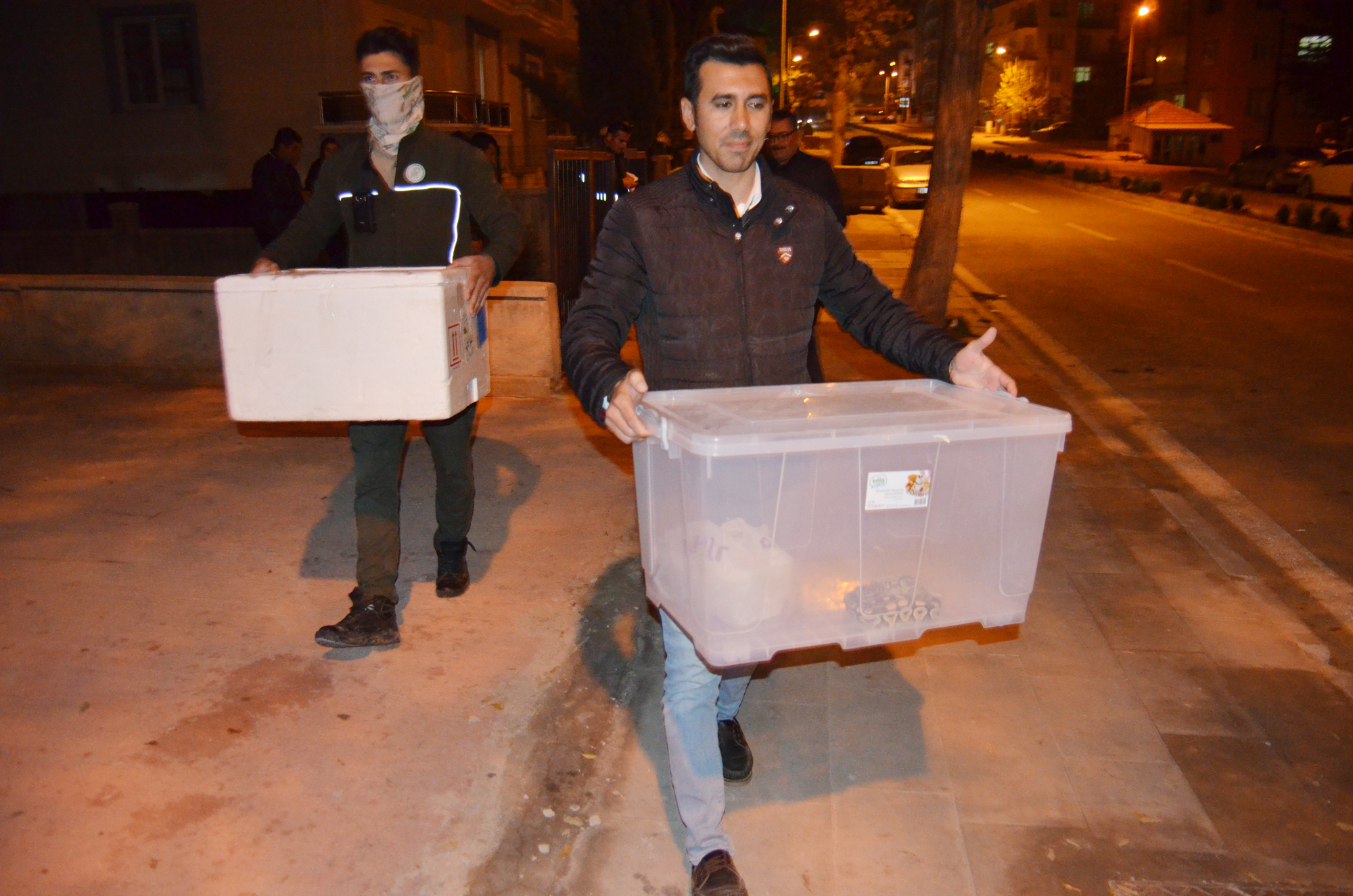 Beslemesi yasak kraliyet pitonu ve sakallı ejder bulundu