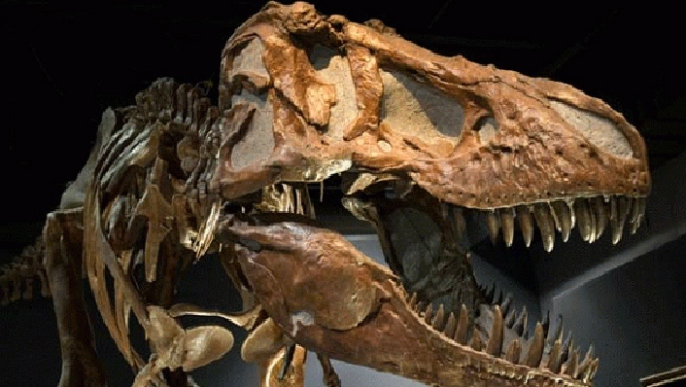 Çin’de dinozor fosilleri bulundu