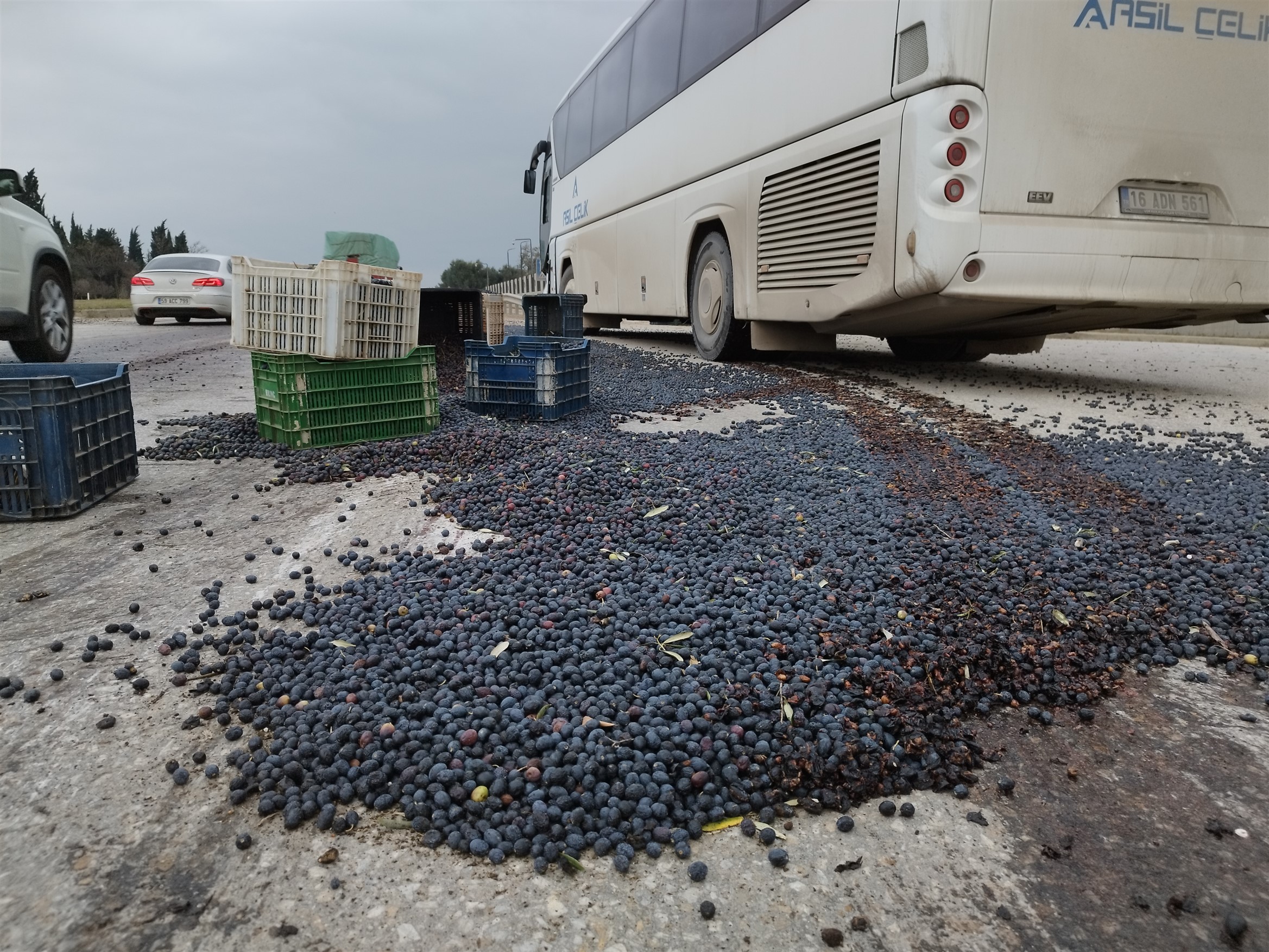 Kamyonet ile servis otobüsü çarpıştı, 1,5 ton zeytin yola saçıldı