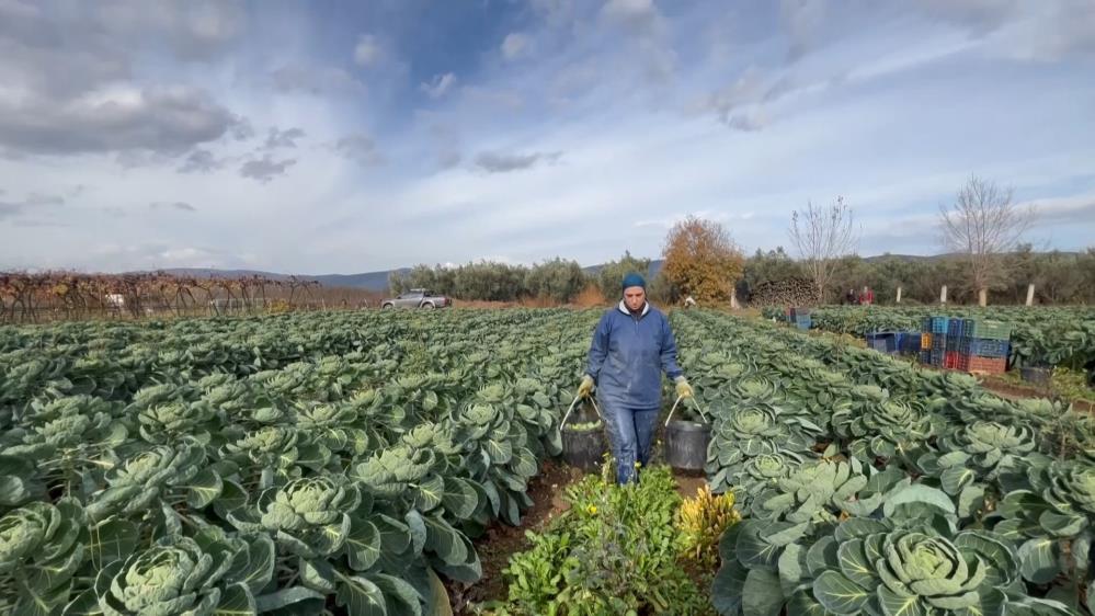 Bursa’dan dünyaya ihraç ediliyor!