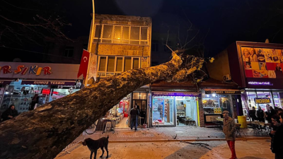 Bursa’da 40 metrelik çınar ağacı dükkanların üzerine devrildi