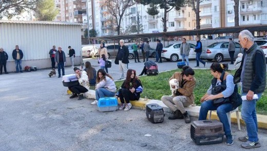 Evcil hayvan sahiplerinin ‘çip taktırma’ sırası
