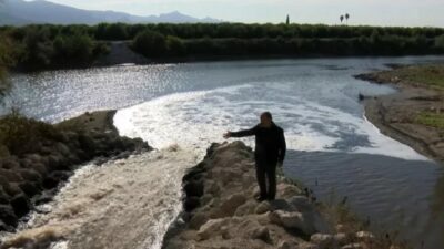 Nehre dökülen kimyasal atıklar, binlerce arı ve balığı öldürdü