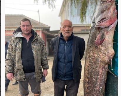 2 metrelik balık oltaya takıldı: Yoldan geçen telefona sarıldı
