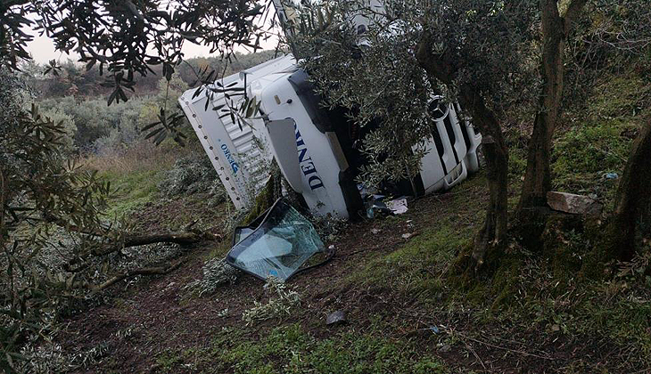 Bursa’da TIR zeytinliğe devrildi, sürücü yaralandı