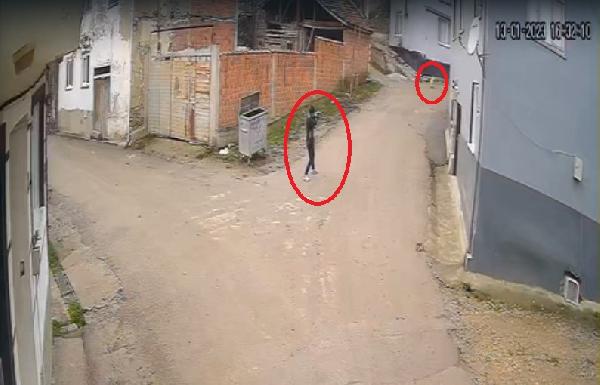 Bursa’da o cani yakalandı! Köpeği bu yüzden öldürmüş!