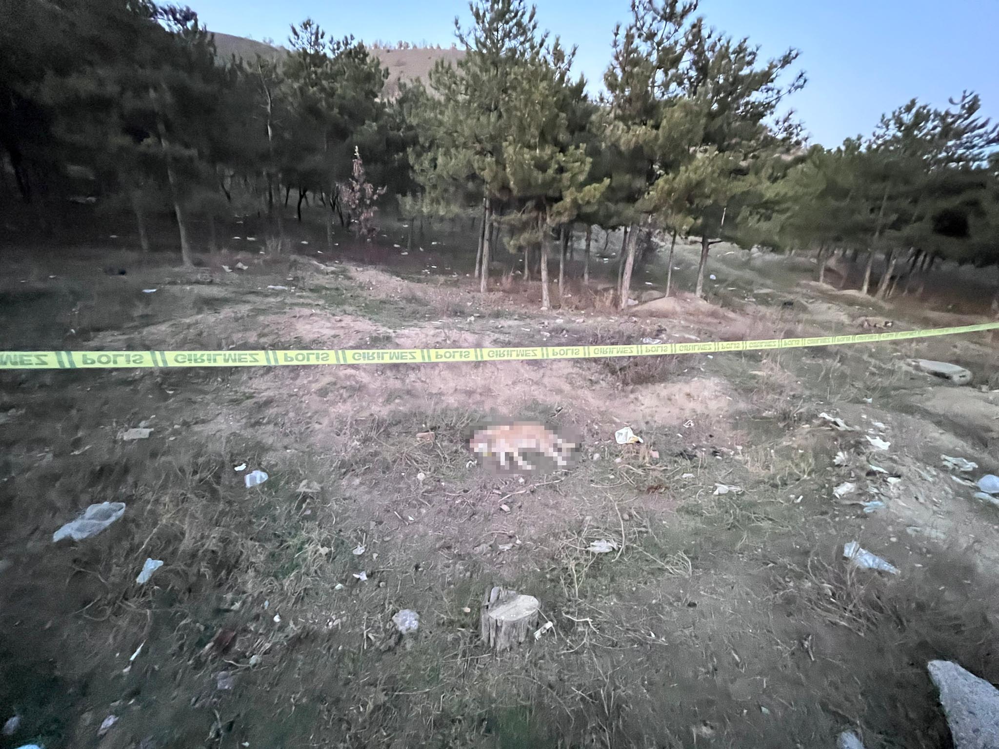 Ankara’da vahşet: 4 köpek vurularak öldürüldü