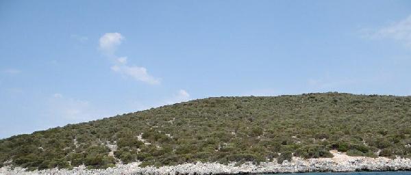 220 milyon liraya satılık ada
