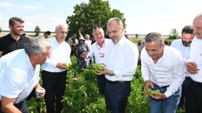 Bursa Büyükşehir’in çiftçiye desteği sürüyor