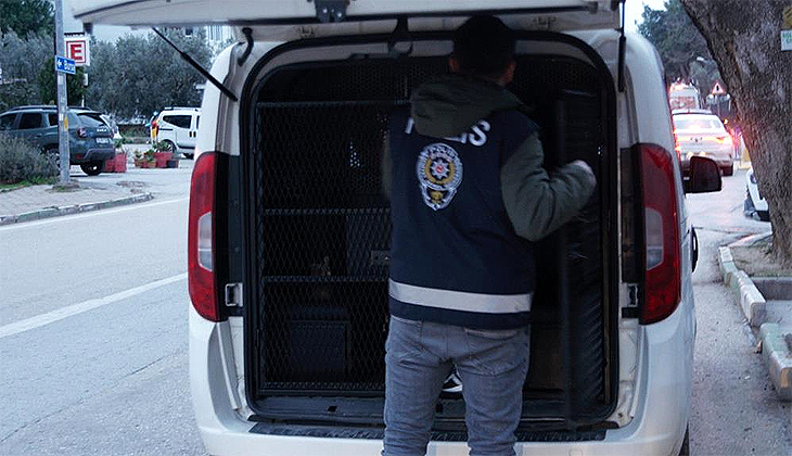 Bursa’da hırsızlık operasyonu: 9 tutuklama