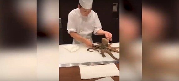 Ahtapotu canlı canlı keserek parçalara ayırdı…