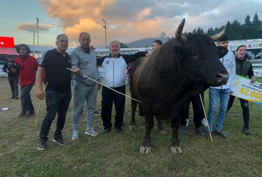 ‘Vefa’ yarım milyona satıldı