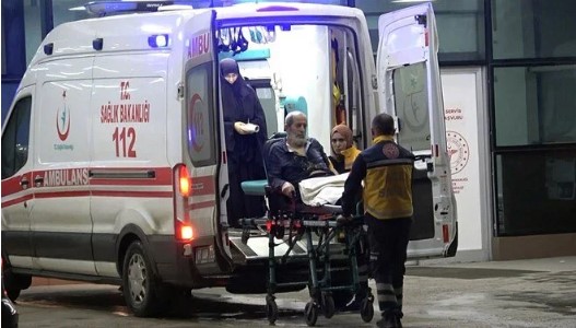Deli balı fazla kaçırınca hastanelik oldu