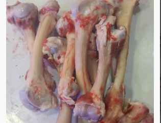 Artık kemiği bile para ediyor