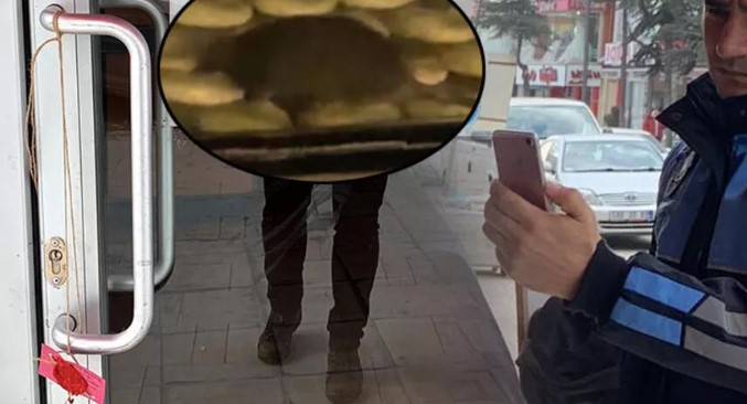 Bir fare 1 milyon TL’lik masraf çıkardı