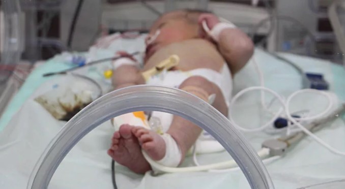 Sokağa terk edilen bebek, devlet korumasında