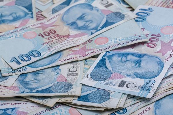 Yerli girişimler devlet desteğiyle yurt dışına daha kolay açılacak