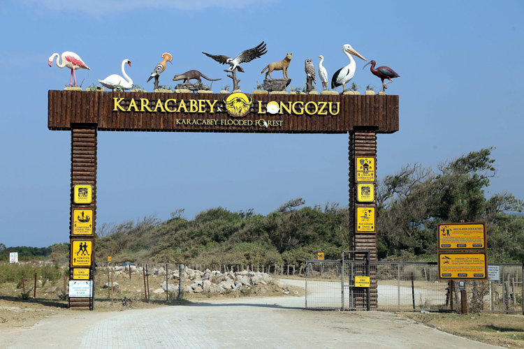 Deniz ile ormanın kucaklaştığı adres: Karacabey Longozu