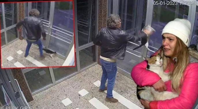 Kedi düşmanının ifadesi ortaya çıktı