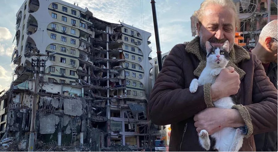 Galeria Sitesi’nde kurtarılan kedi sayısı 12’ye çıktı