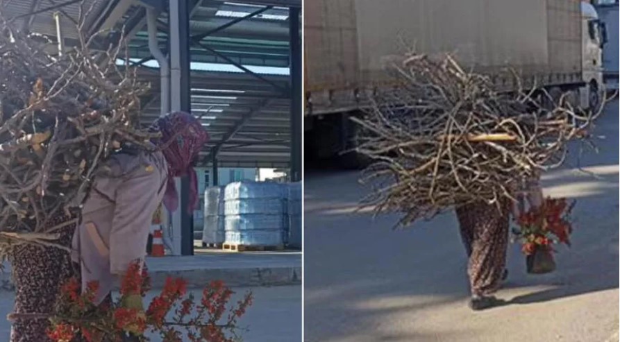 Topladığı odunları sırtında taşıyarak depremzedeler için getirdi