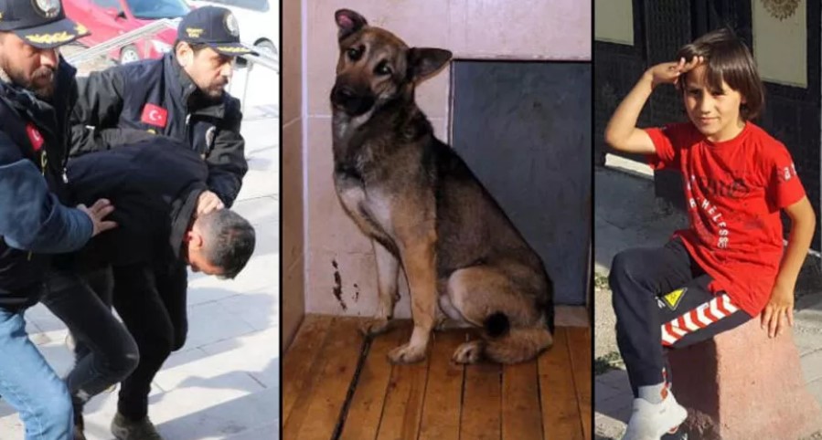 Emir Mete’nin ölümüne neden olan köpek bir daha sahiplendirilmeyecek