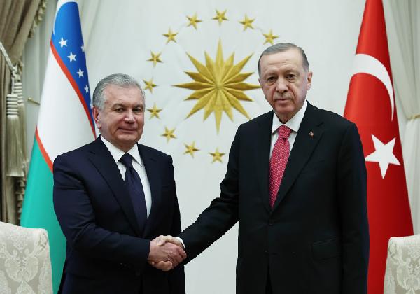 Cumhurbaşkanı Erdoğan, Mirziyoyev ile bir araya geldi