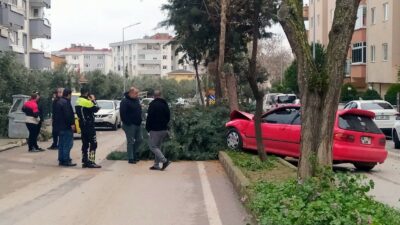 Bursa’da alkollü sürücü ağacı devirerek durabildi