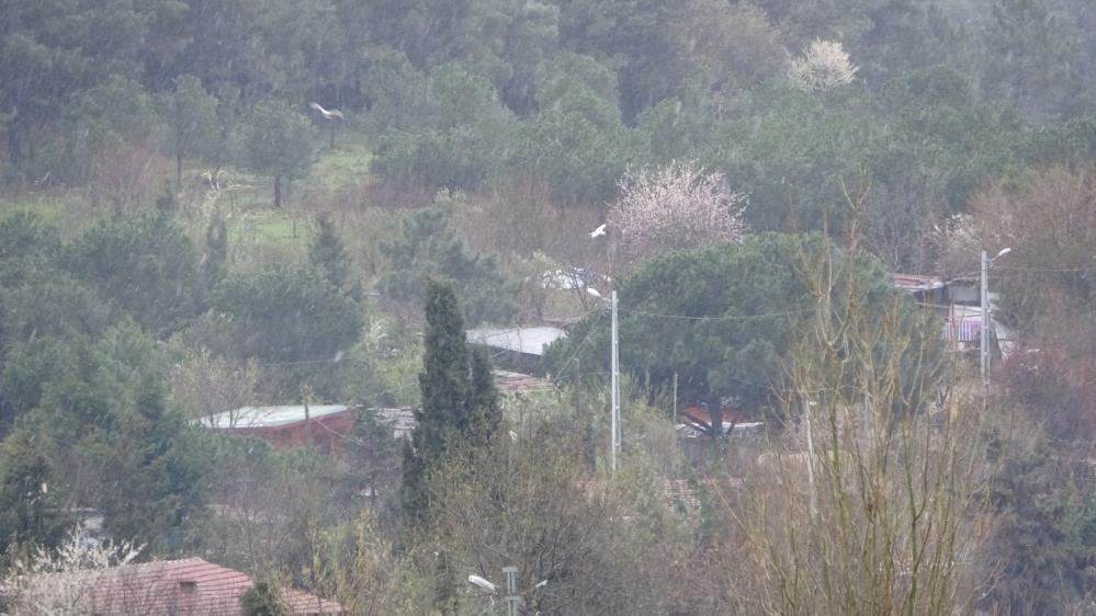 İstanbul’da kar yağışı başladı