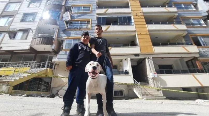 Kahraman köpek ‘Dora’ 2 çocuğu kurtardı