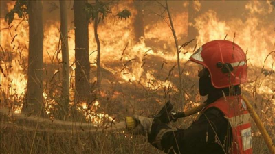 İspanya’da yılın ilk büyük orman yangını 4 bin 600 hektarlık alanı kül etti